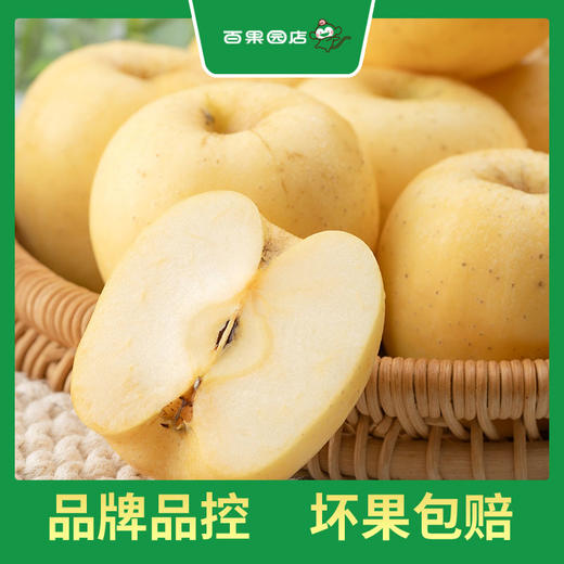 PAGODA百果园 A级-黄金维纳斯苹果5斤礼盒装（净重4.5~5斤） 商品图4