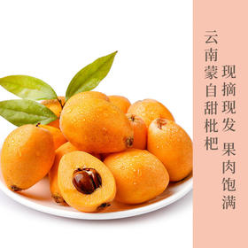 云南蒙自枇杷 酸甜可口   满口生津水润皮薄肉厚从上往下稍微带一点点力完整刮一圈下来，轻轻一撕，毫不费力，随便吃个十个八个停不下来💖