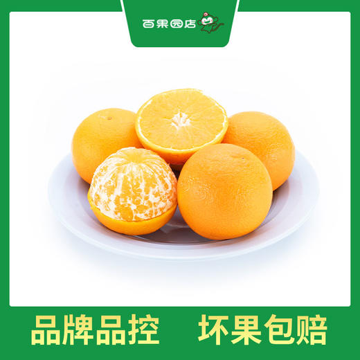 PAGODA百果园 A级-象山红美人蜜柑（中）9粒礼盒装 商品图4