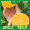 PAGODA百果园 A级-象山红美人蜜柑（中）9粒礼盒装 商品缩略图3