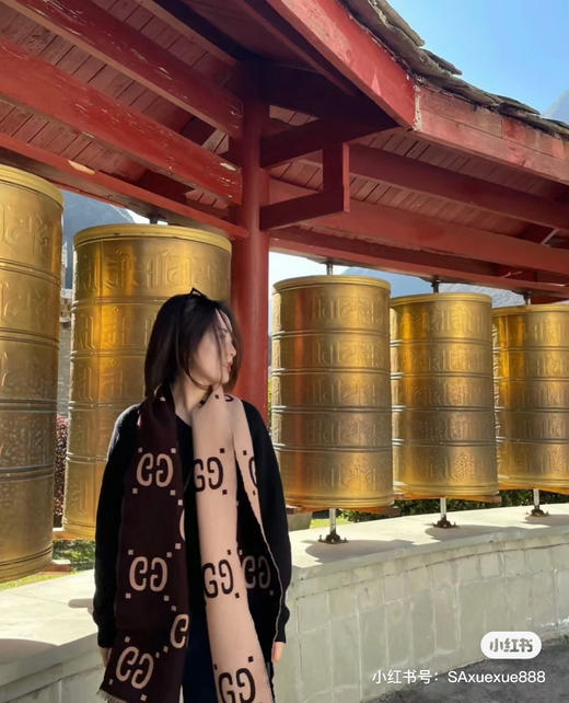 Gucci经典爆款 商品图2