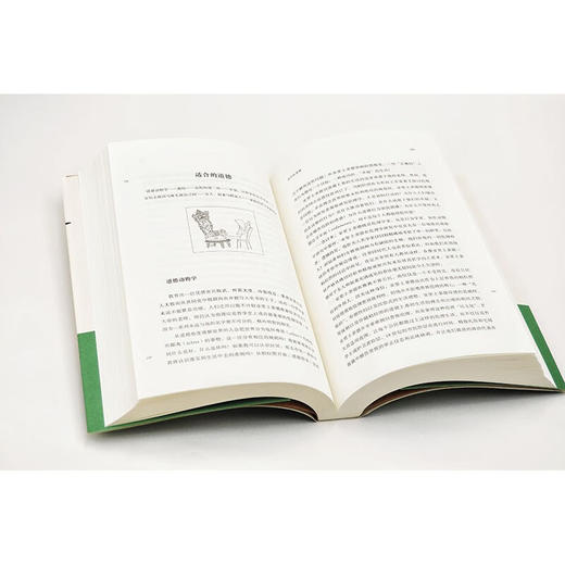 认识世界 : 古代与中世纪哲学 商品图7