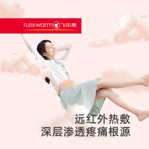 飞乐思专业版前后发热智能护腰暖宫带 商品图0