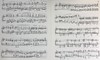 【中商原版】亨乐原版 肖邦 降B小调钢琴奏鸣曲op35 Chopin Klaviersonate b-moll op.35 钢琴独奏 HN289 进口艺术 商品缩略图6