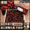 【新鲜速发！智利车厘子】顺丰 JJJJ级特大果 樱桃礼盒装当季时令新鲜进口孕妇水果多规格2024新年龙年特价年货好礼物 商品缩略图0