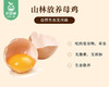 【预售-12月29日配送】悠原×乐子山养土鸡蛋/1份（600g*2盒，每盒15枚）生产日期：12月24日左右 商品缩略图3