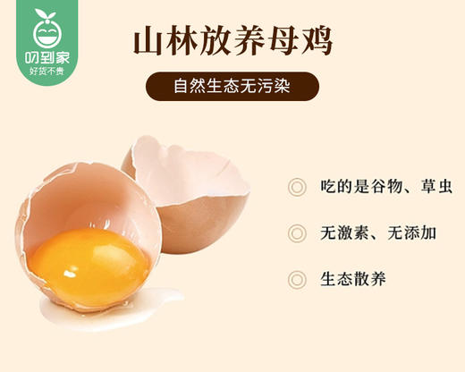 【预售-12月29日配送】悠原×乐子山养土鸡蛋/1份（600g*2盒，每盒15枚）生产日期：12月24日左右 商品图3