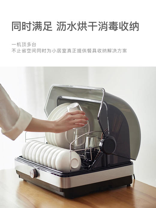 olayks欧莱克出口消毒碗柜小型家用台式消毒柜碗筷餐具茶杯子奶瓶消毒器 商品图2