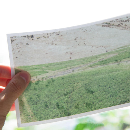 上帝之子 商品图6