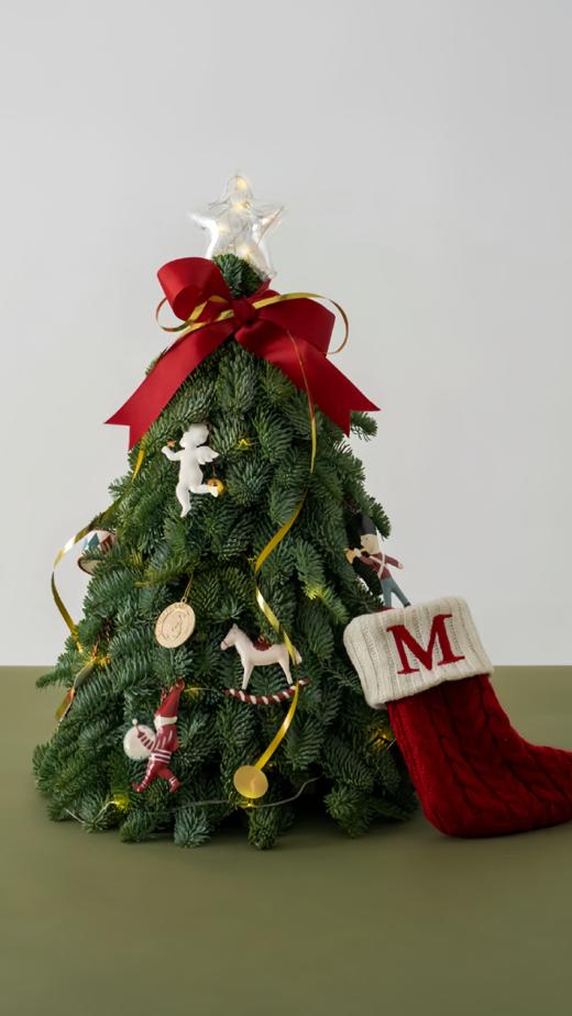 诺贝松丨圣诞节专属丨1-2支 商品图1