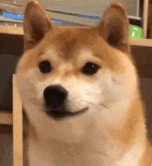 正式开放！人人都能免费参加短视频剪辑统一培训了！