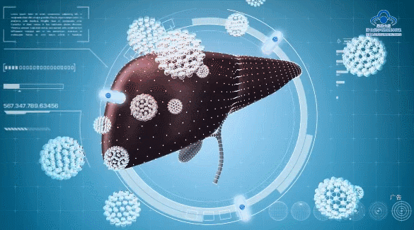 这种“紫人参“，每天吃一点，护肝排毒，提升免疫力！