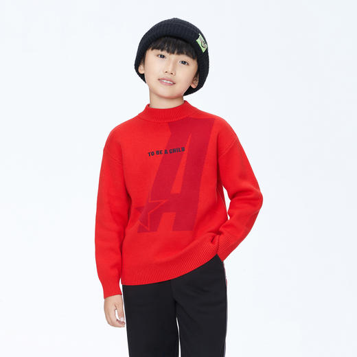 【实体店同款】男童中领棉线衫冬新款安奈儿童装AB344721 商品图0