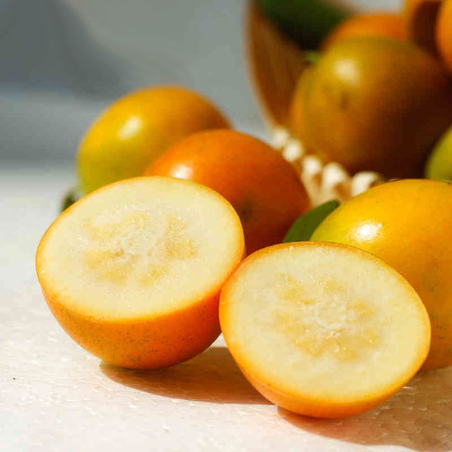 【果蔬精选】小蜜蛋 • 融安滑皮金桔  绿色认证品质 不打农药不催熟 现摘现发 脆甜可口 带皮即食