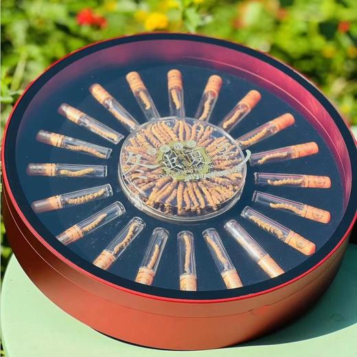 虫草誉为“草中黄金”“软黄金”，LES GRÂCES冬虫夏草高级礼盒，甄选世界公认的虫草黄金产区“西藏那曲”，海拔4450以上，环境无污染，生长周期长，吸收的营养更多，四对足清晰，虫体饱满！ 商品图5