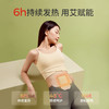 蕲艾暖贴（通用款5片）Q6302 商品缩略图3
