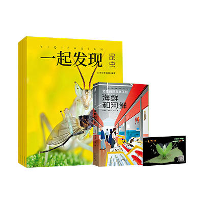 2024年《一起发现》过刊10本一次发出 商品图6