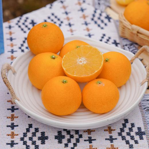 美人回归！皮薄飙汁【红美人】福建平和 30年蜜柚老树嫁接！香气浓郁 肉质饱满 皮薄易剥 甘甜水嫩 商品图5