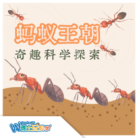 【北京】科学探索-蚂蚁王朝（动物博物馆）