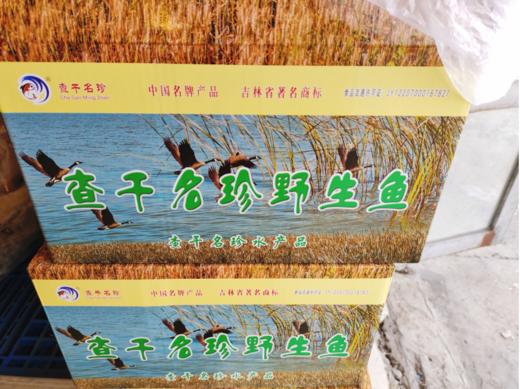 罗非鱼一箱 商品图0