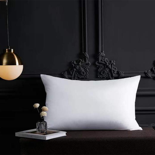 啄木鸟(PLOVER)酒店羽绒枕-单只ZMN-ZX004 商品图0