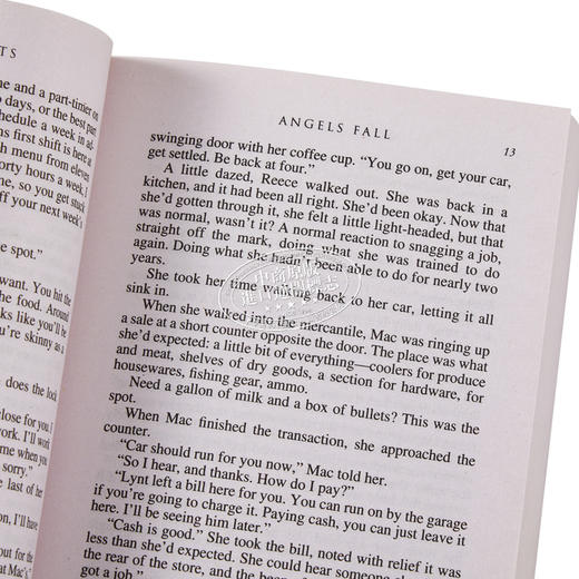 预售 【中商原版】天使坠落 Angels Fall 英文原版 Nora Roberts 悬疑惊悚流行小说 商品图2