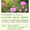 知和无尤复合精油芳疗系列【大马士革玫瑰精油】 商品缩略图4