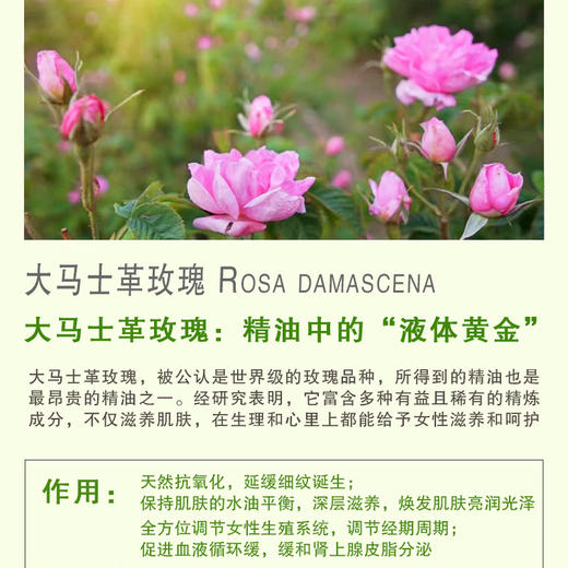 知和无尤复合精油芳疗系列【大马士革玫瑰精油】 商品图4