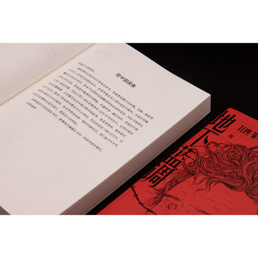 醉钢琴与地下蓝调：汤姆·威兹谈汤姆·威兹 商品图8