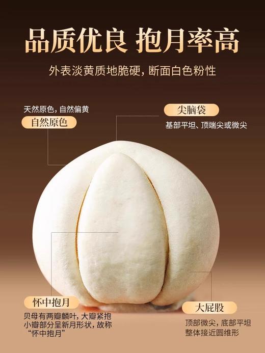 北京同仁堂 无硫熏贝母颗粒  将滋补融入生活 50g/罐 商品图1