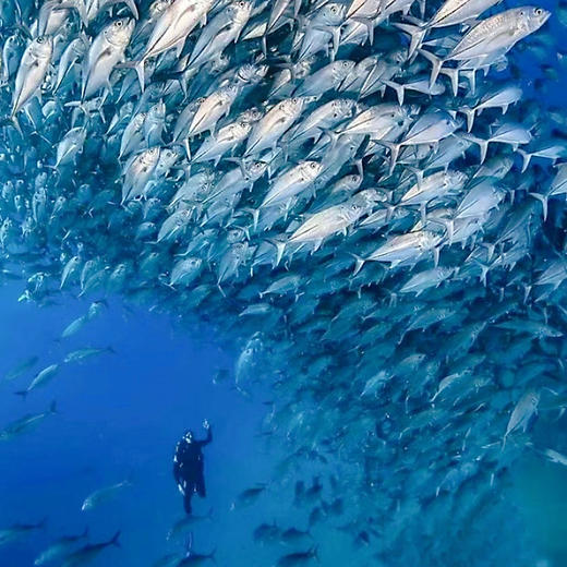 寒假亲子 | 顶奢亲子，另类万宁亲子营5天4晚 商品图1