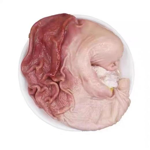 新鲜猪肚（约2.5斤/个） 商品图0