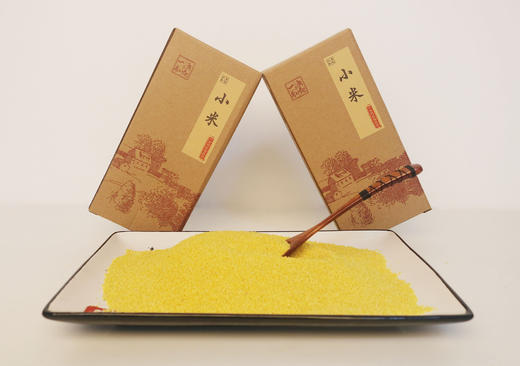 小米大金苗优质黄小米营养丰富颗粒饱满 商品图2