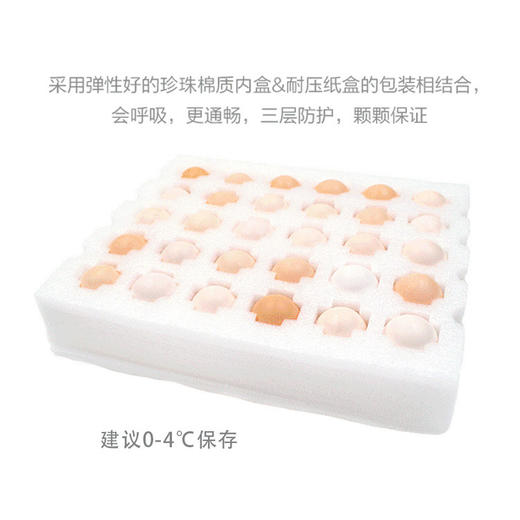 【光阳蛋业 壕鸡蛋】原生态高海拔养殖 好的鲜鸡蛋给宝宝吃 商品图2