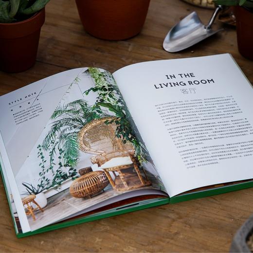 室内绿植完整手册2 我的植物生活新提案 商品图4