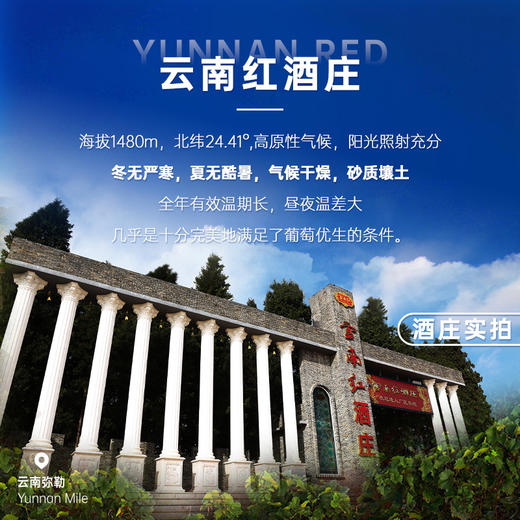 云南红125ml*3白兰地兴龙樽砲酒高端小烈酒礼盒 商品图3