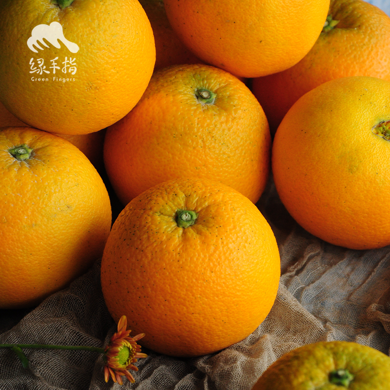 生态脐橙（九月红，酸甜） | 合作生产 *Eco-orange | Coproduction