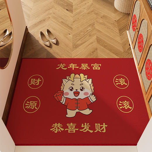 【鱼跃蛇门❗️诸事皆宜蛇年地垫】新年发财卡通印花红色喜庆门垫家用入户门防滑蛇年丝圈地垫好礼特价新年礼盒年货礼盒 商品图3