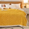 啄木鸟(PLOVER)塔棉绒加厚毛毯-桔黄色ZMN-RT003 商品缩略图2