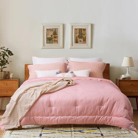 新一代大豆纤维被芯 30%大豆蛋白纤维 蓬松柔软加厚保暖冬被芯