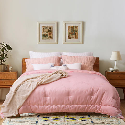 新一代大豆纤维被芯 30%大豆蛋白纤维 蓬松柔软加厚保暖冬被芯 商品图0