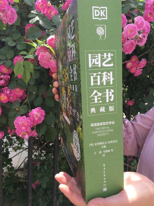 英国皇家园艺学会 DK园艺百科全书(典藏版 全彩) 商品图3