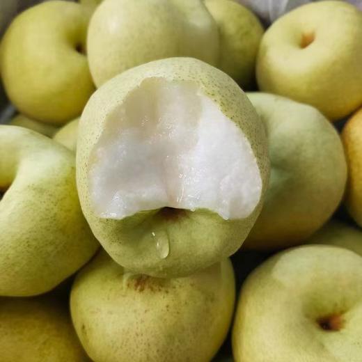 山西蜂蜜酥梨，能吃出蜂蜜味的脆梨，树上的“蜂蜜水” 一口爆汁，纯甜 爆汁 无渣 商品图2