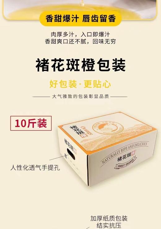 褚橙花斑果优级（65-70mm）10斤 商品图0