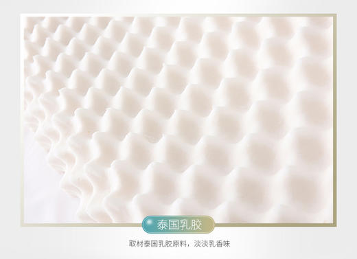 啄木鸟(PLOVER)泰国狼牙乳胶枕-单只ZMN-LYZ-01 商品图3