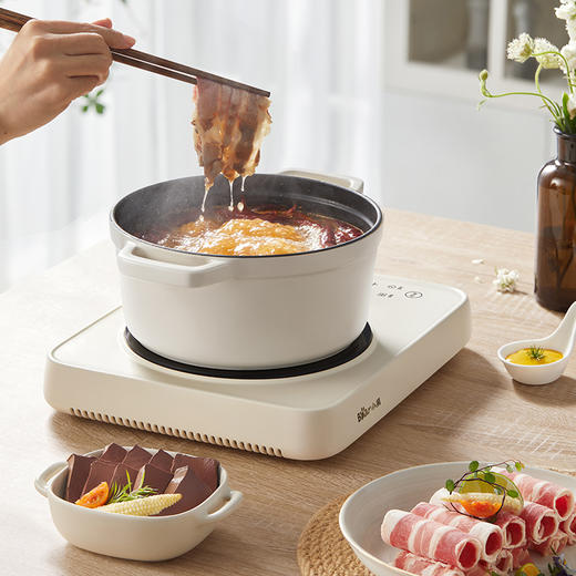 【小程序】小熊(Bear)电磁炉 家用大功率2200W 火锅炉 电磁灶 智能定时 电灶防水黑色微晶面板DCL-B22H5 商品图2