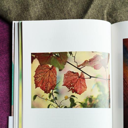 奏响色彩 日本国宝级染织家 志村福美 的色彩手记 商品图6