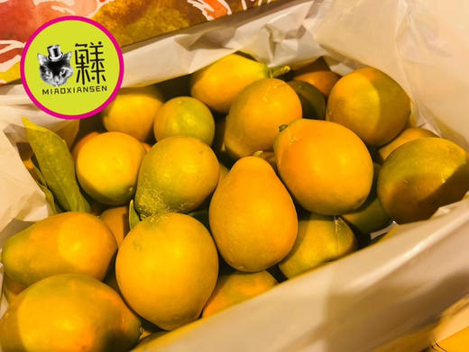 🛵脆蜜金柑🍊3A纯甜大金桔，无籽多汁 商品图10
