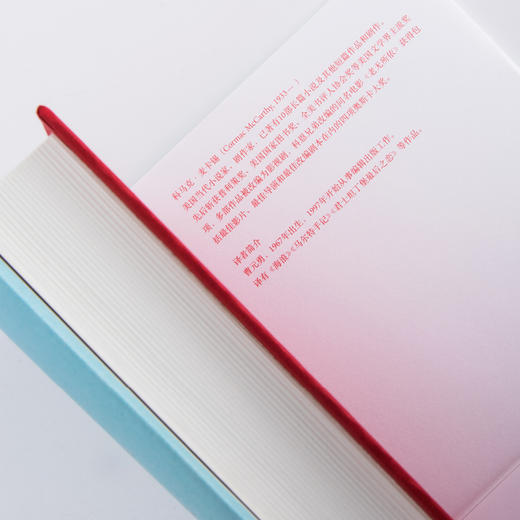 【微瑕包邮】老无所依 （美）科马克·麦卡锡 著 商品图5