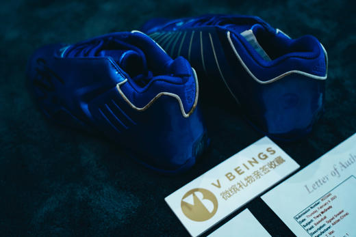 收藏系列 麦迪 签名球鞋 商品图4